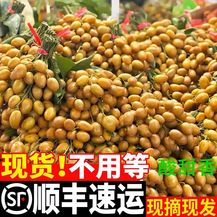 【现货】广东黄皮果新鲜现摘有核当季酸甜孕妇水果鸡心黄皮一顺丰
