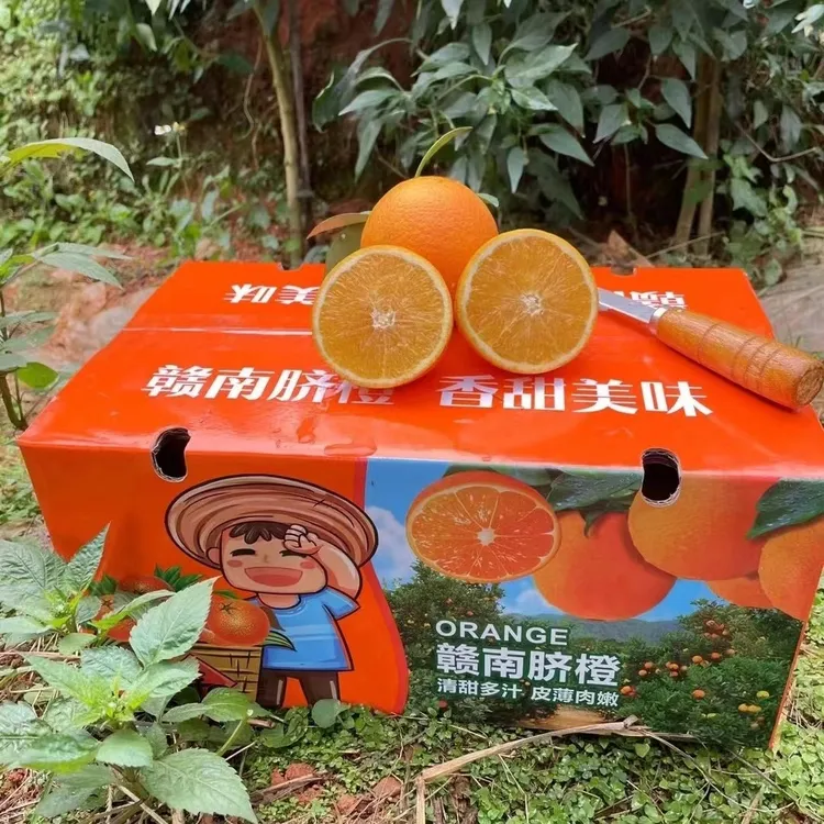 正宗江西赣南脐橙新鲜当季水果孕妇甜橙产地直发
