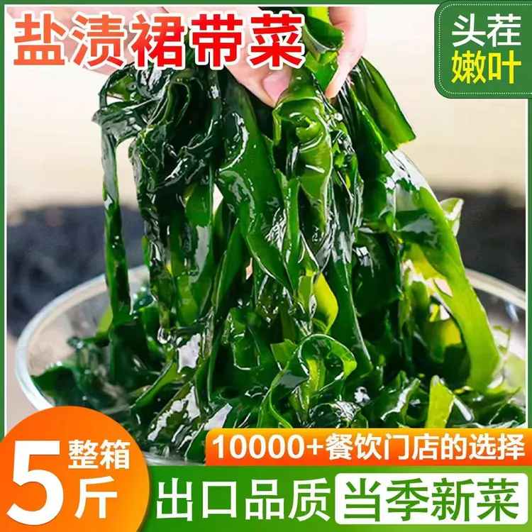 大连新鲜盐渍裙带菜，整箱5斤。凉拌煲汤火锅冒菜必备！