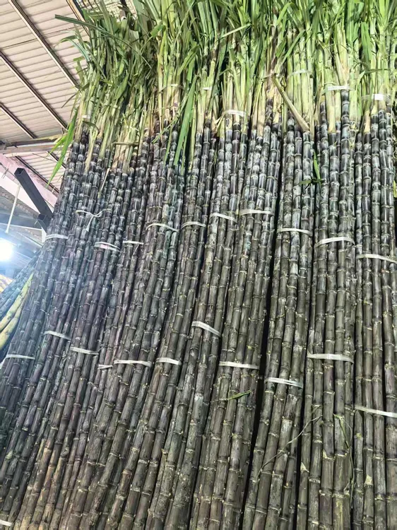 新鲜黑皮甘蔗脆甜多汁