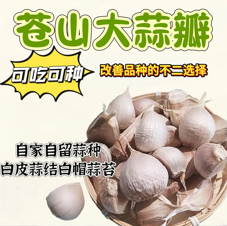 苍山手工大蒜瓣（两三瓣和四六瓣大瓣）