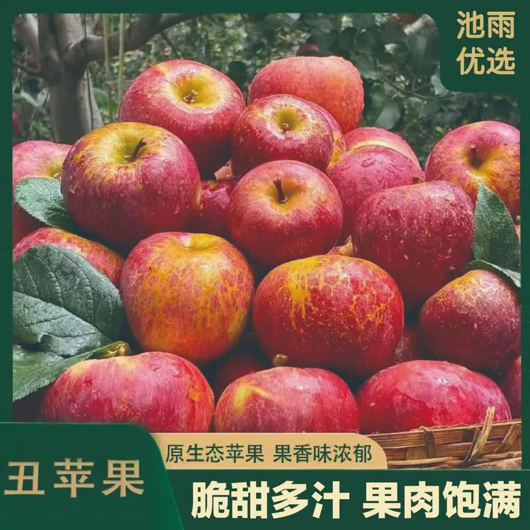 【池雨老水果拯救计划】2025年头茬冰糖丑苹果脆甜新鲜