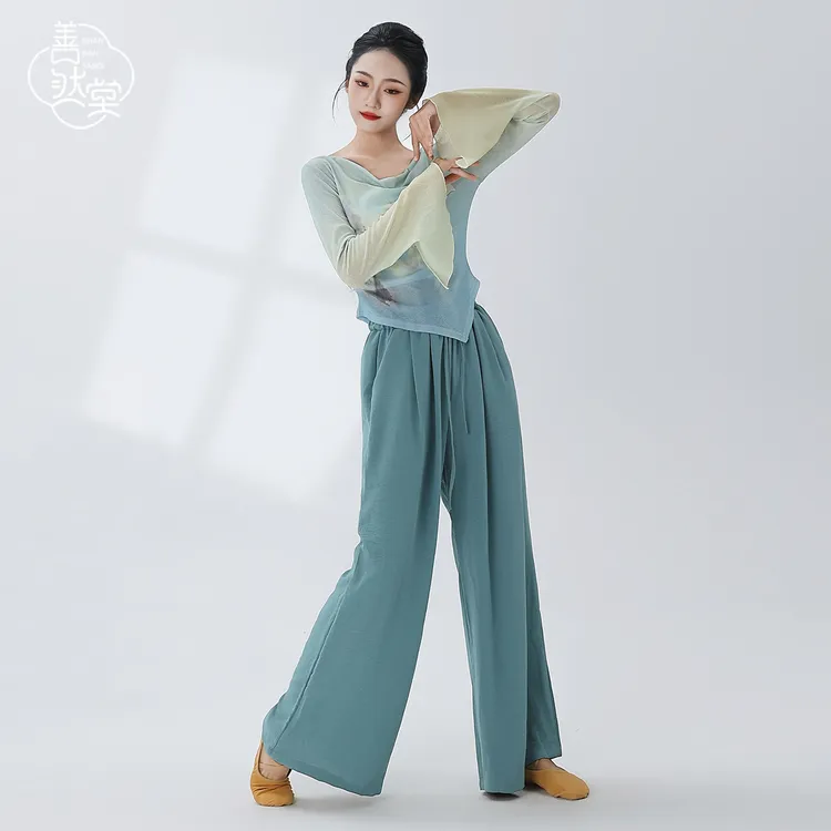 善然堂2025夏新款现代舞服装身韵纱衣女飘逸演出服仙气舞蹈练功服