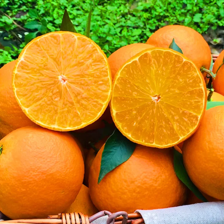 爱媛38号果冻橙手剥橙子现摘现发应季新鲜香甜多汁水果产地直发