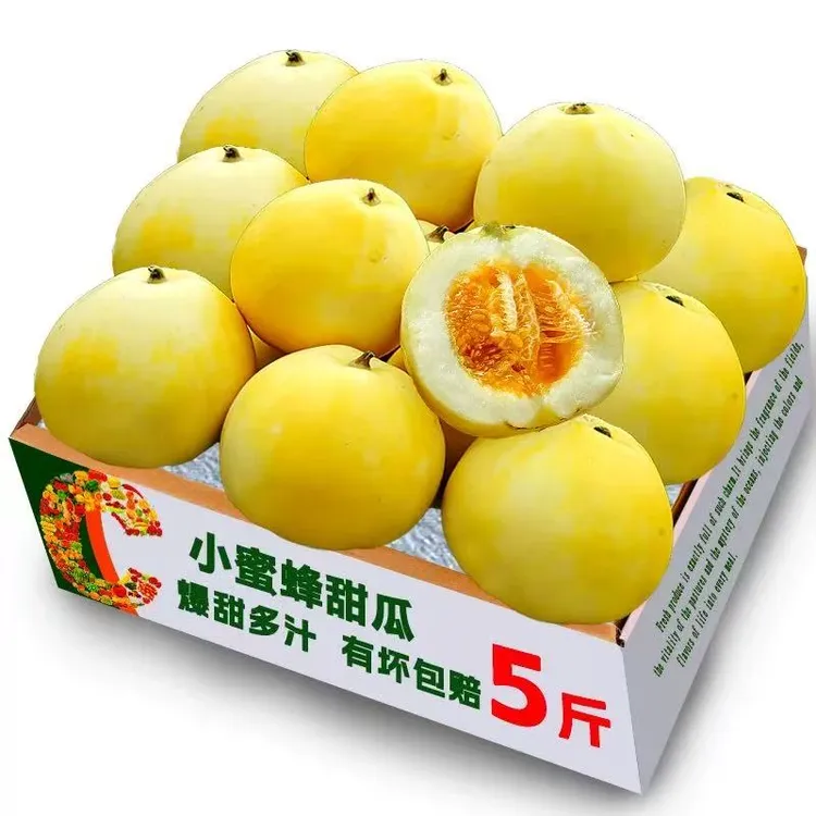 正宗山东头茬小蜜蜂甜瓜星甜20新鲜水果当季现摘蜜罐甜瓜顺丰包邮