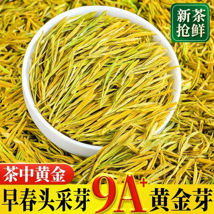 【2025年新茶 明前黄金芽高货】小嫩芽精品高山绿茶送礼