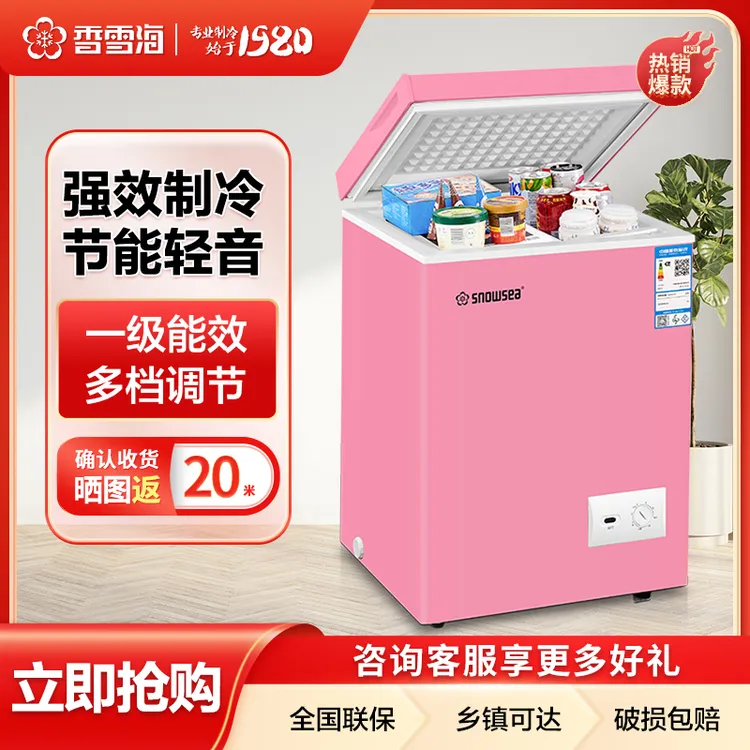 香雪海冰柜小型家用冷柜冷藏冷冻大容量冰柜厂家直销冰柜批发