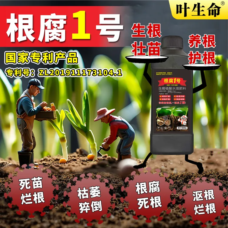 根腐烂根软腐农作物专用根腐1号抑制死苗僵苗青枯立枯促进生根