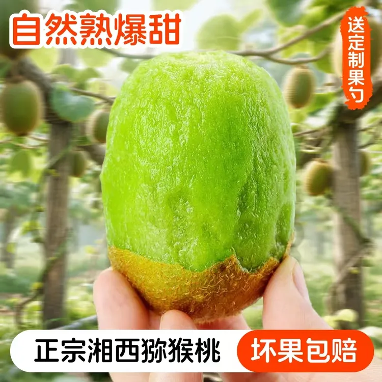 正宗绿心猕猴桃新鲜奇异果时令新鲜水果应当季整箱包邮孕妇弥猴桃