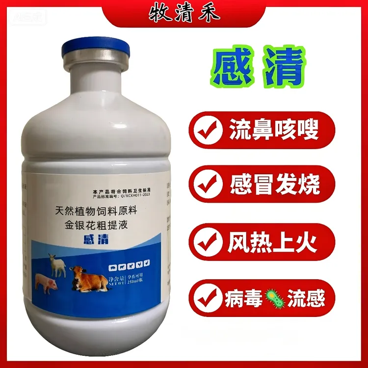 【感清】秋冬牛羊必备