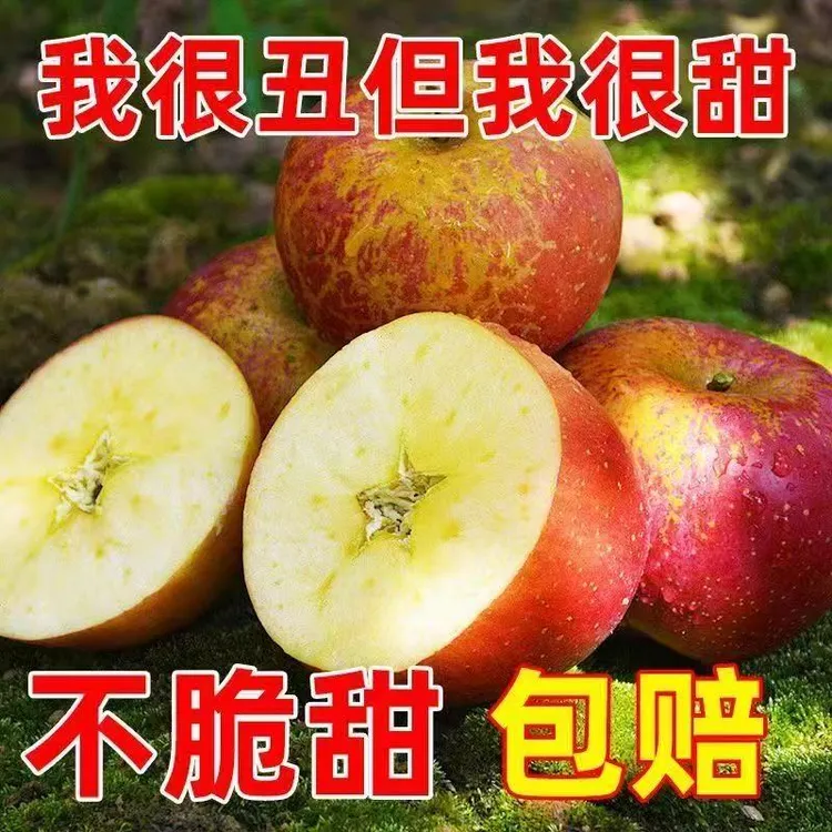 云南高山鲁丽丑苹果小苹果头茬果应季新鲜脆甜多汁