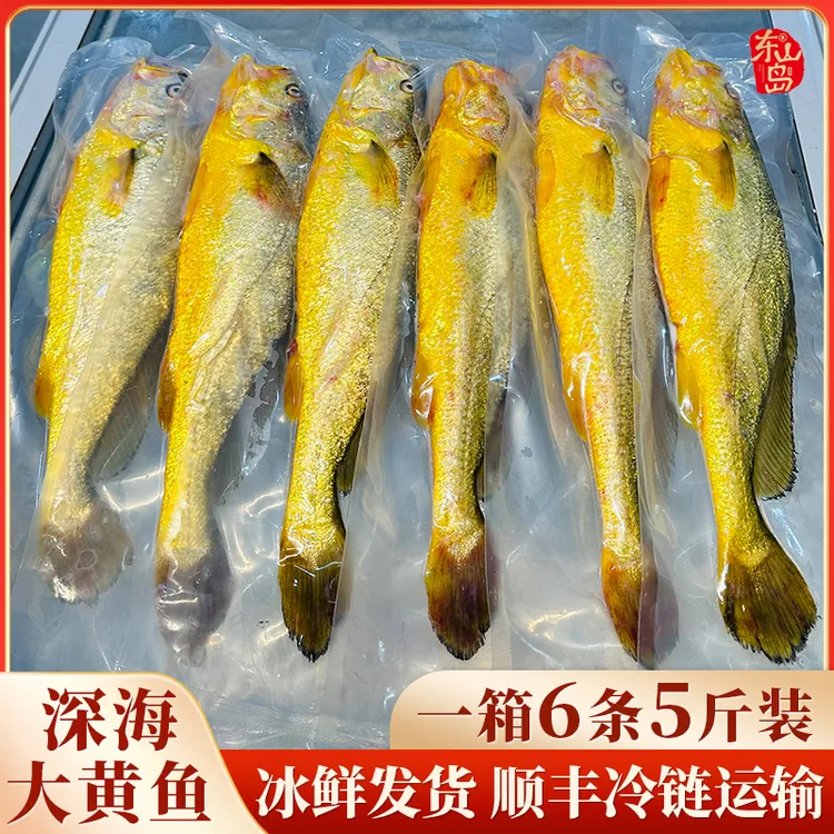 【冰鲜发货】宁德深海大黄鱼,深夜捕捞,无土腥味顺丰冷链,包邮到家