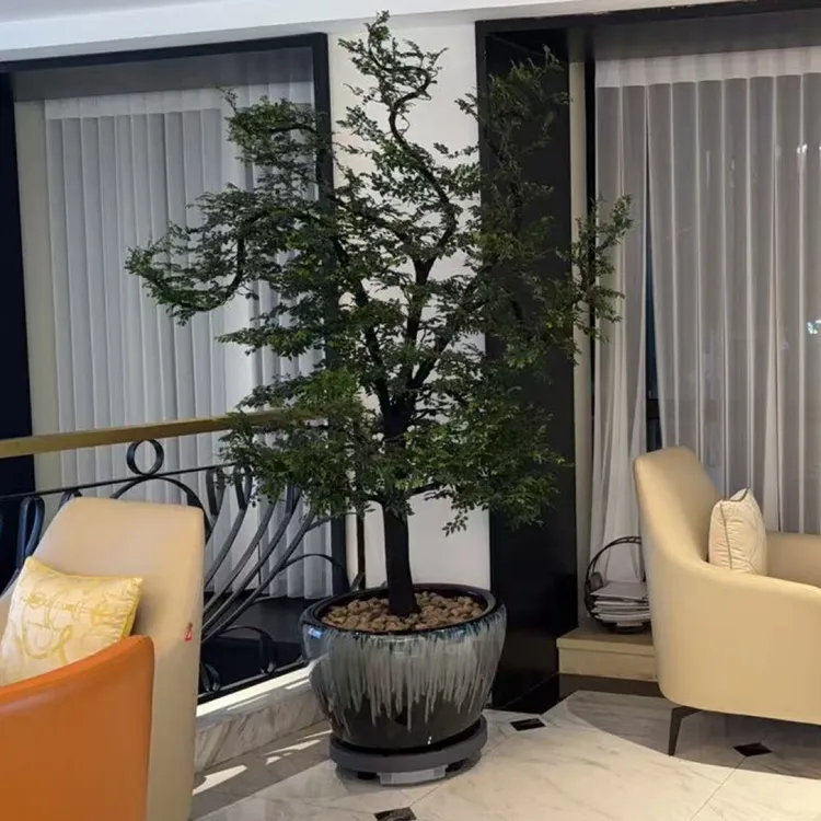 广东小叶紫檀黑骨茶盆景高端室内造型盆栽四季常青中式禅意风绿植