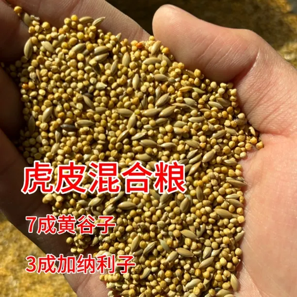 虎皮大头鹦鹉种子粮黄谷子加纳利子鹦鹉鸟粮鸟食雀鸟混合粮