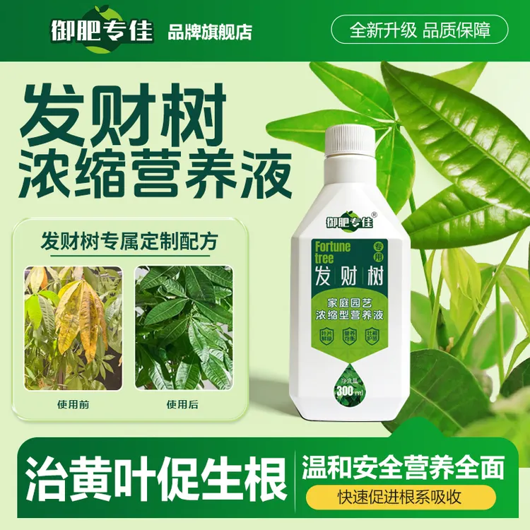 【发财树专用】家庭园艺发财树专用营养液水培生长土壤烂根氮肥商品图
