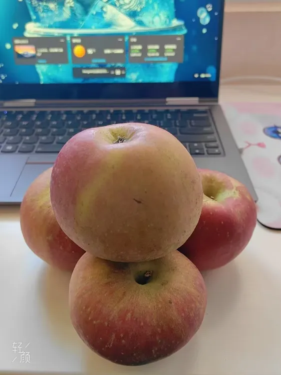 【昭通富士】云南昭通丑苹果产地直发脆甜多汁果园直发新鲜水果