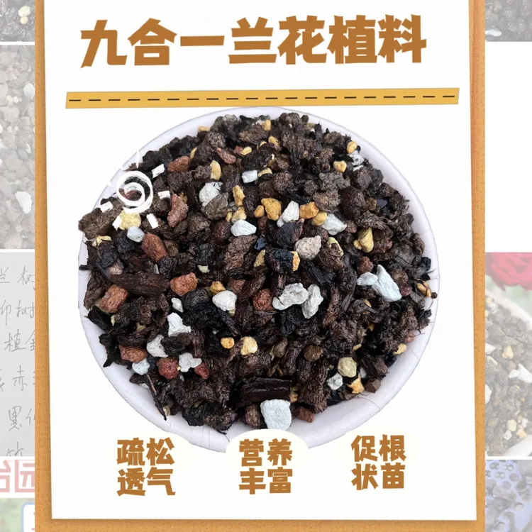 兰花专用植料颗粒泥炭配制九合一兰花营养土疏松透气营养均衡