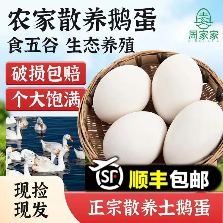 新鲜商品鹅蛋单枚120克左右 12枚平均克重120以上 净重2斤8以上