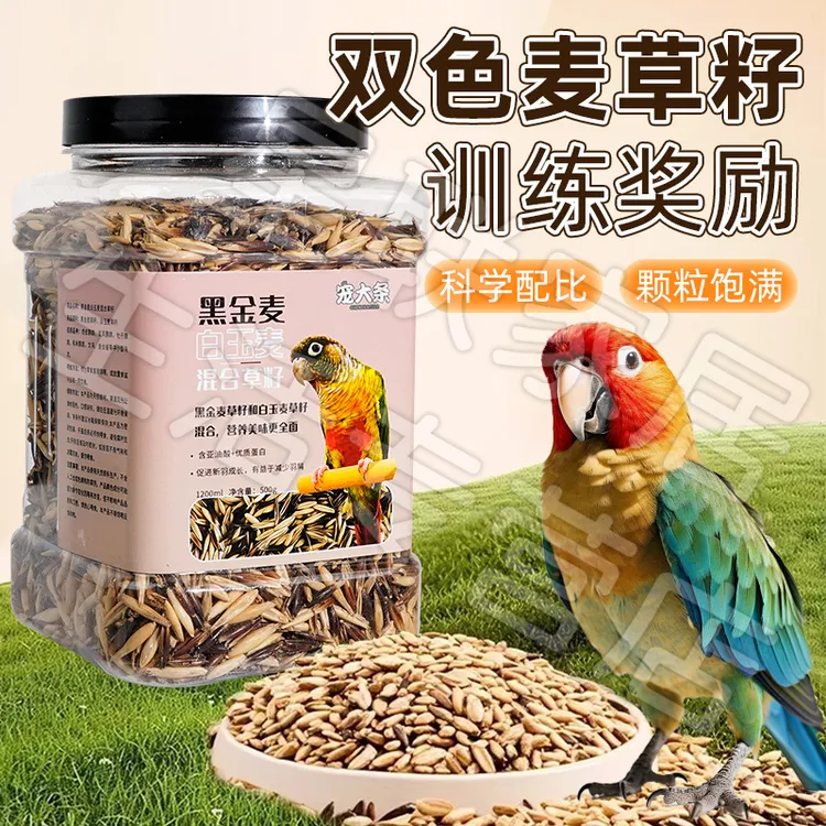 【宠大条】鹦鹉训练奖励零食白玉麦黑金双色麦草籽虎皮牡丹专用鸟粮