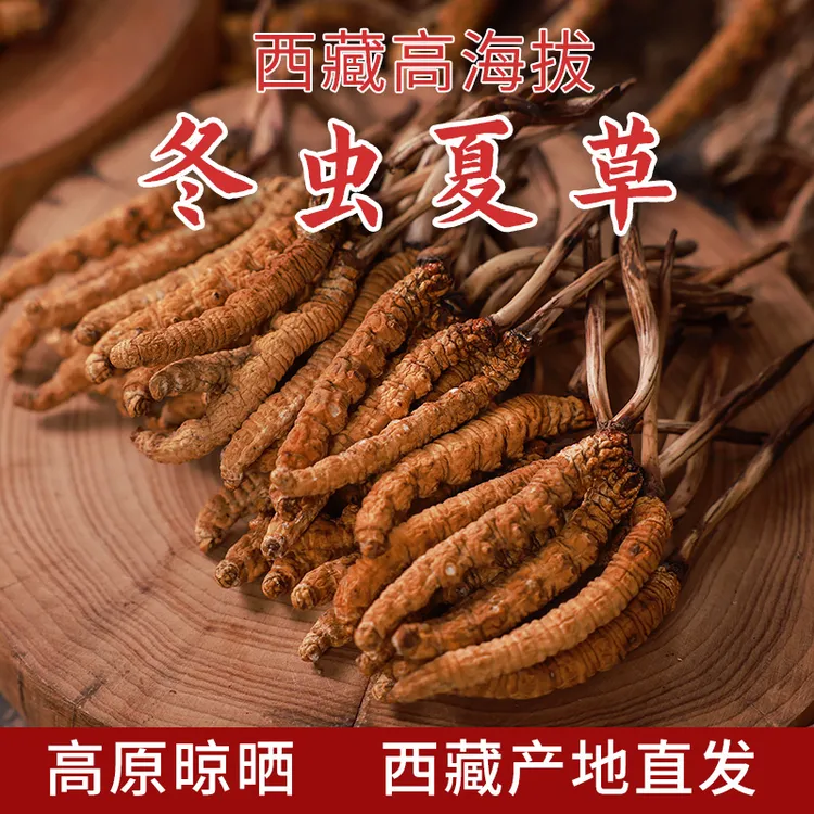 【中草4根/g】西藏高海拔冬虫夏草干草炖汤滋补西藏产地直发