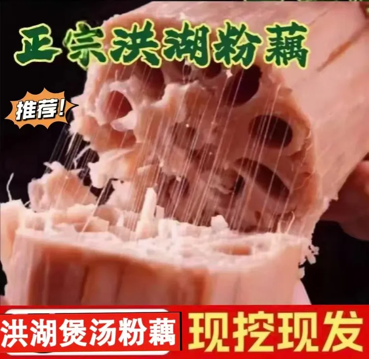 正宗洪湖煲汤粉藕 新鲜现挖九孔红莲藕 粉糯香甜
