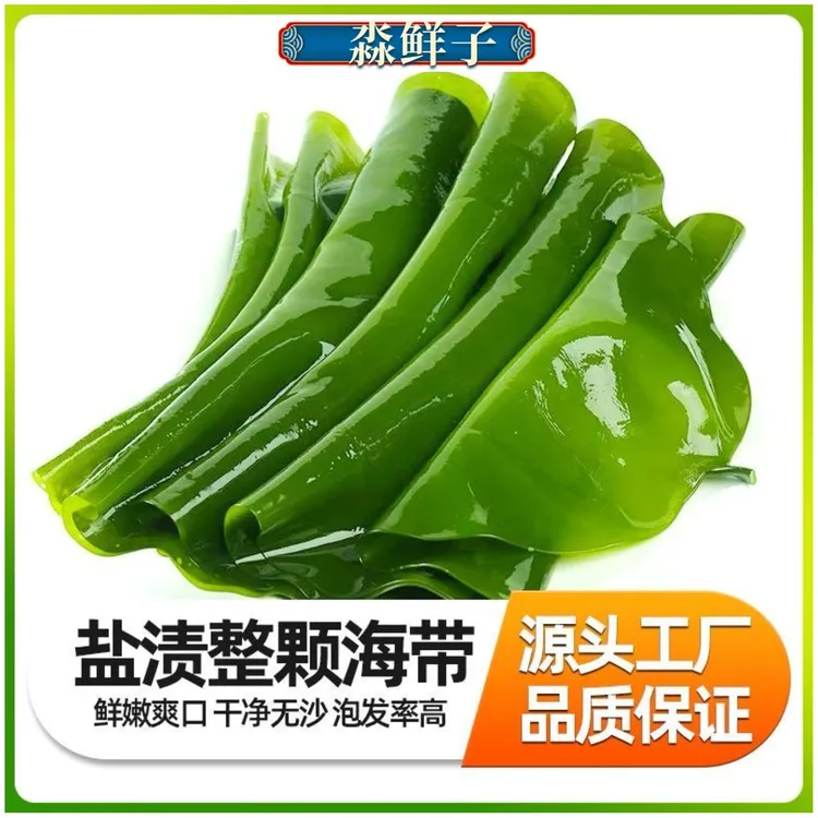 推荐旅顺饭包菜整颗海带盐渍新海带 5斤（带箱）新鲜食用鲜嫩