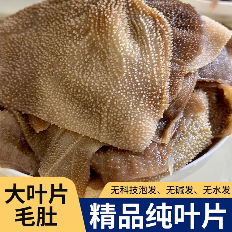 3斤水牛毛肚大叶片新鲜脆毛肚火锅串串牛百叶 固形物含量80%以上