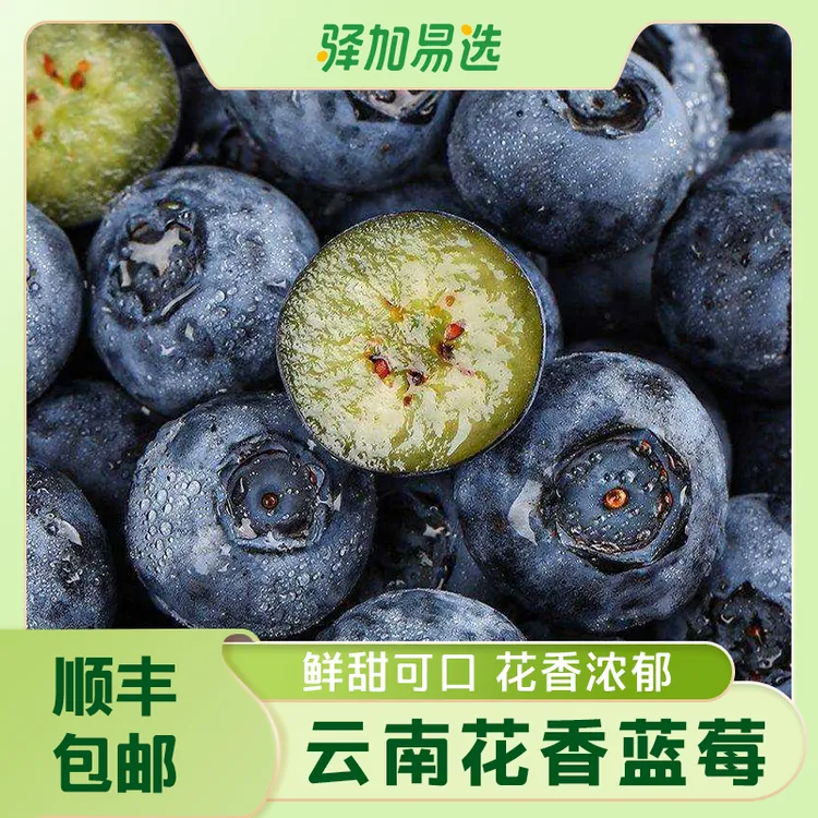 【云南高山花香蓝莓】脆甜爽口，产地新鲜直发，顺丰包邮YKM
