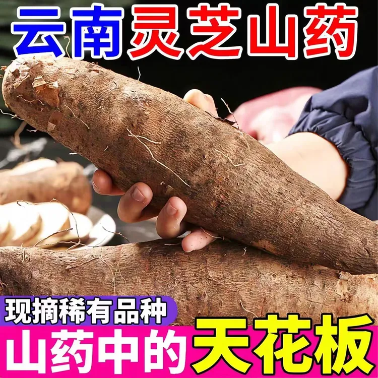【云南特产灵芝山药】新鲜粉糯非铁棍秤砣淮山小白嘴蔬菜
