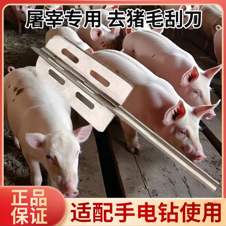 电动手持刮猪毛神器屠宰专用不锈钢刨毛刀头脱猪毛刨子快速去毛
