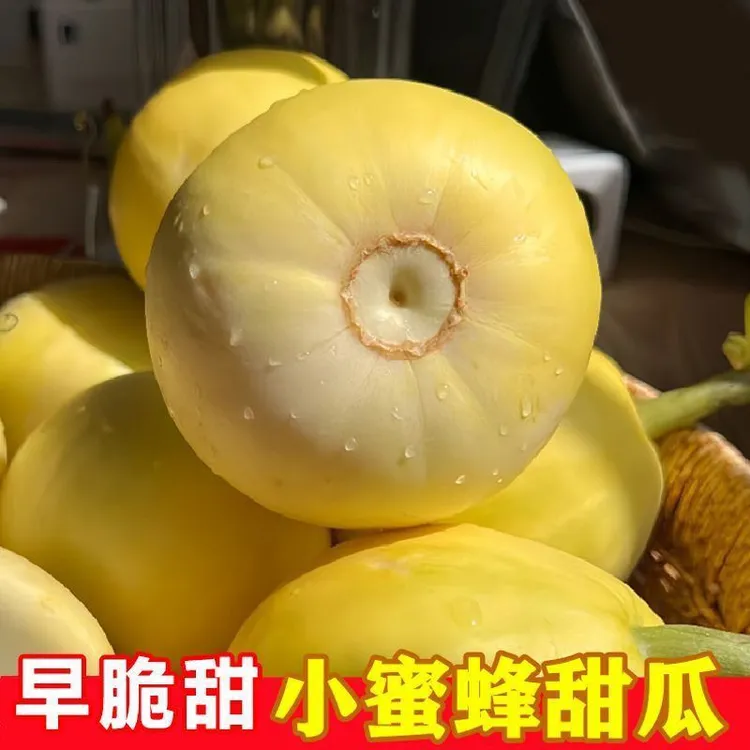 山东头茬早甜脆小蜜蜂香瓜郁金香甜瓜当季水果3斤5斤应季现摘包邮