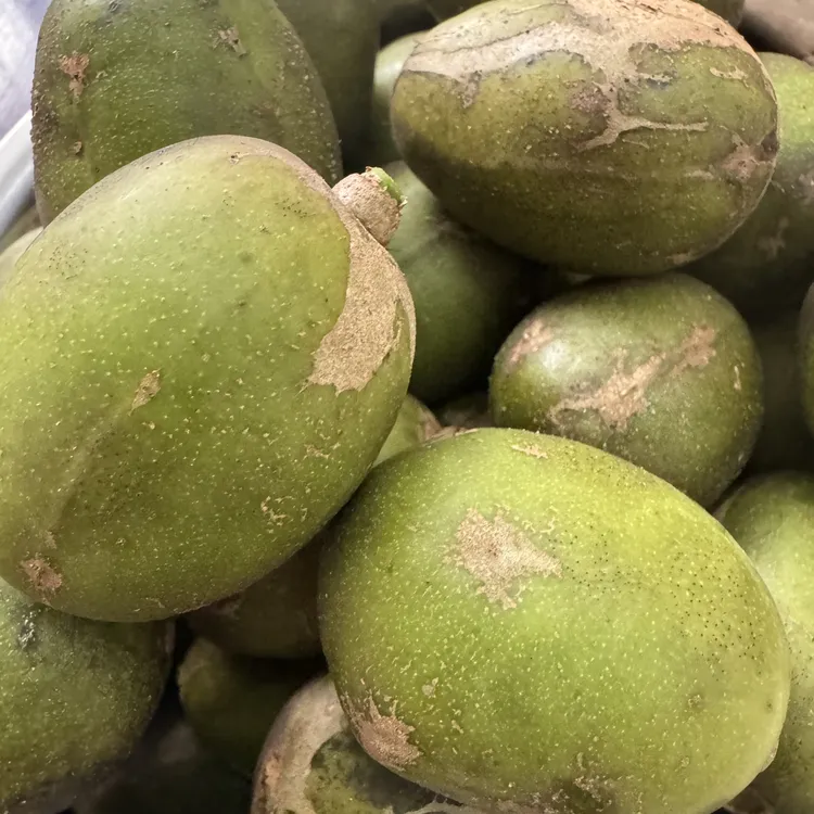 云南西双版纳嘎哩啰开胃凉拌生吃当季新鲜孕妇水果克地佬罕见水果