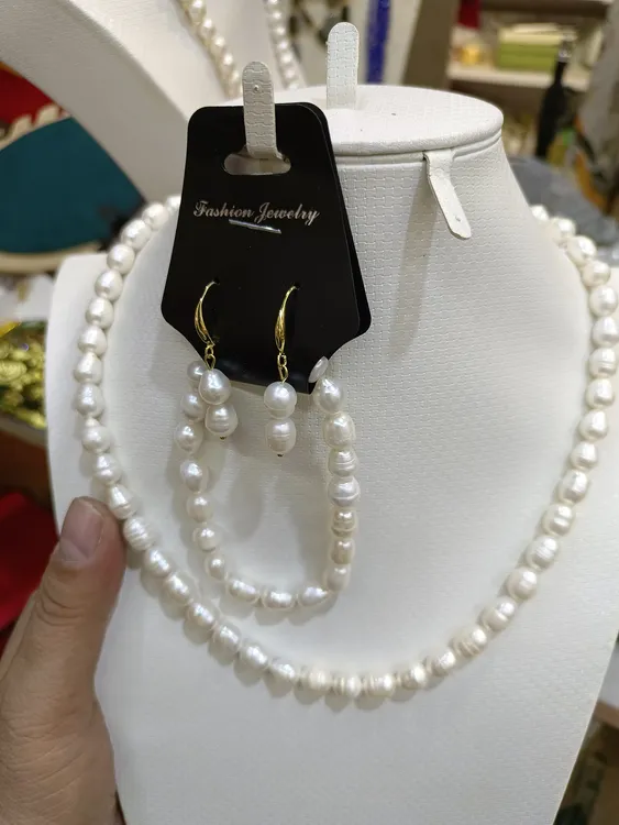 不锈钢项链 非常美丽的珊瑚。 