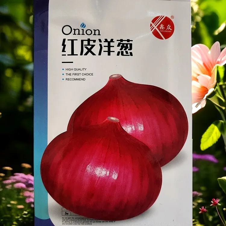 水果型红皮洋葱种子5克（1000粒左右）新老包装随机发