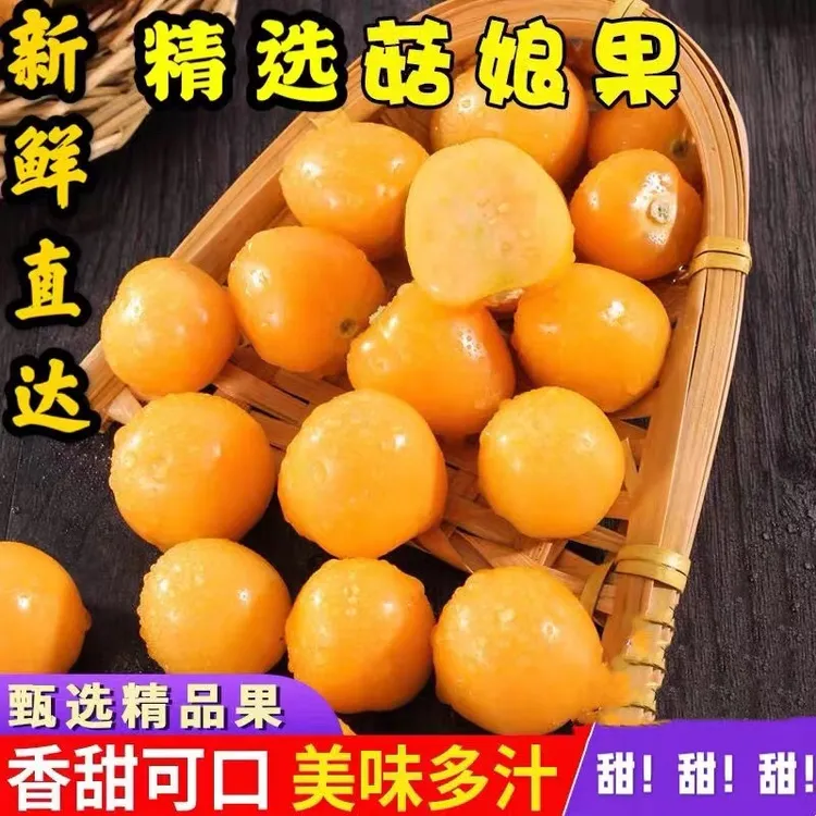 【顺丰包邮】东北特产姑娘果灯笼果甜姑娘果爆甜口感鲜甜多汁水果