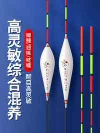 FT系列高灵敏纳米浮漂钓鱼醒目加粗鲫鱼鲤鱼翻身快防走水竞技漂