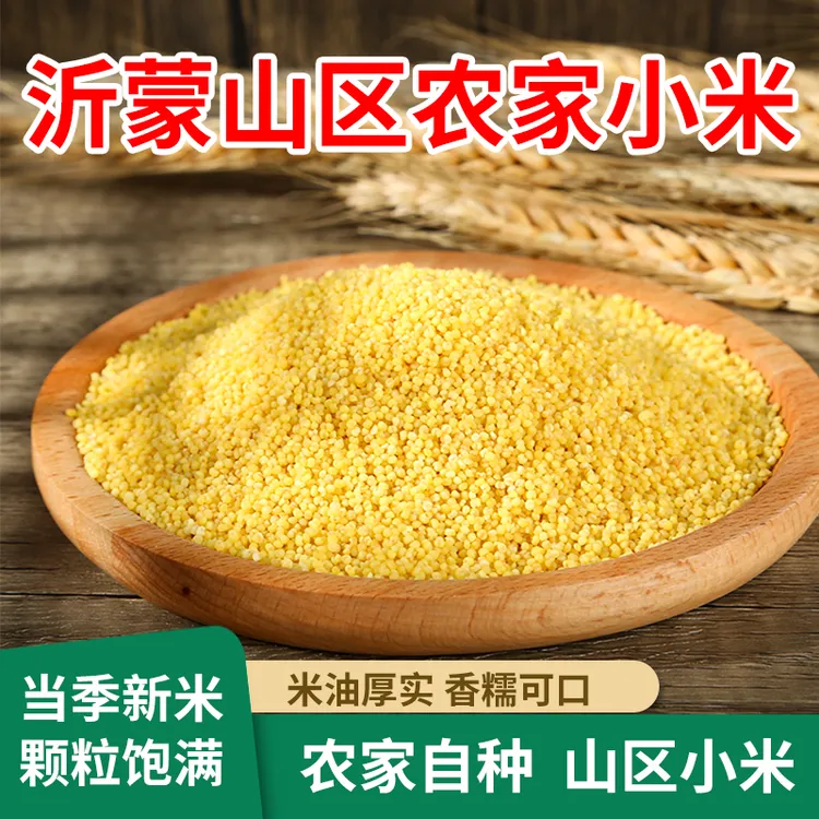 小米2025年新米沂蒙山区自种黄小米农家五谷杂粮月子米宝宝小黄米