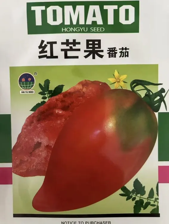 【红芒果番茄种子】四季种植盆栽地栽阳台小院种植