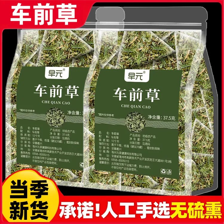 车前草正品新货独立包装非野生干货泡水喝的功效与作用泡茶花茶叶