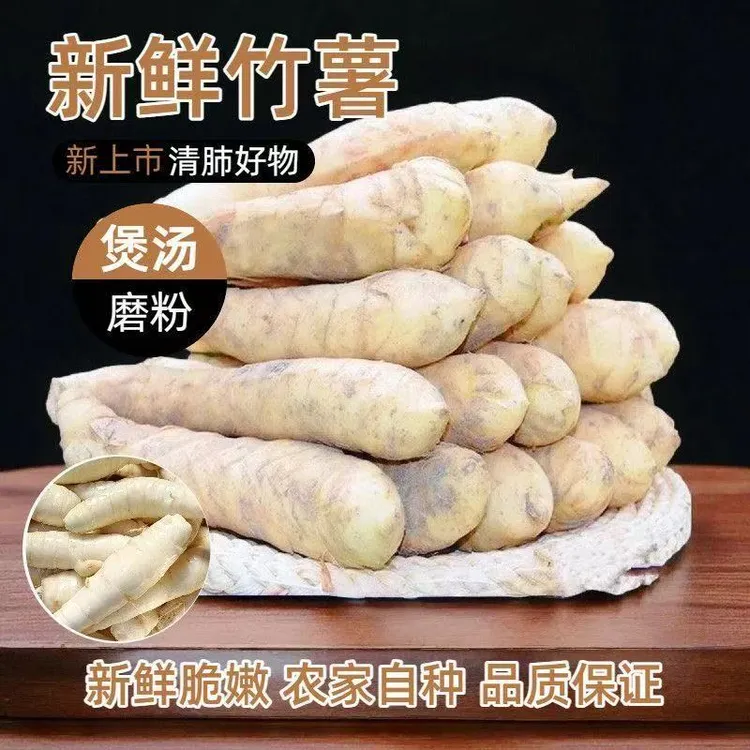 2025年农家新鲜竹薯现挖无渣竹芋当季冬粉薯凉粉薯根茎薯煲汤炒菜