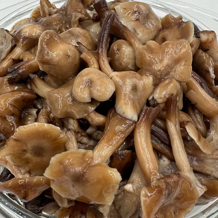 腌渍蘑菇鲜榛蘑东北特产无添加无防腐剂500克*2罐东北正宗榛蘑