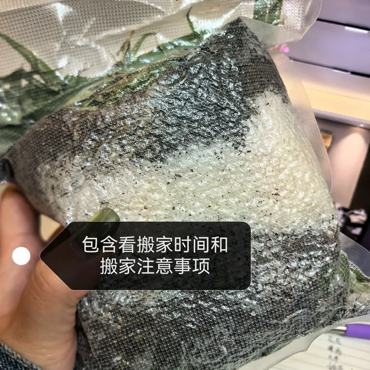 家用净宅包【清理磁场，搬新家必备】