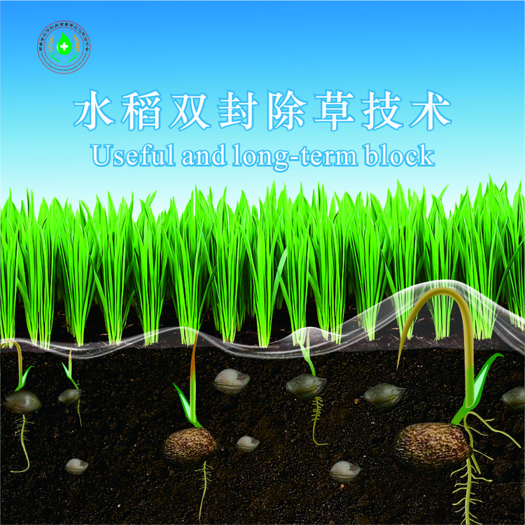 补运费中航封度双封技术纸质版水稻双封除草技术方案纸质版