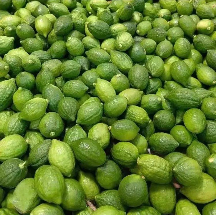 全网低价广东香水柠檬一级大果奶茶店商用柠檬茶餐饮摆摊专用果