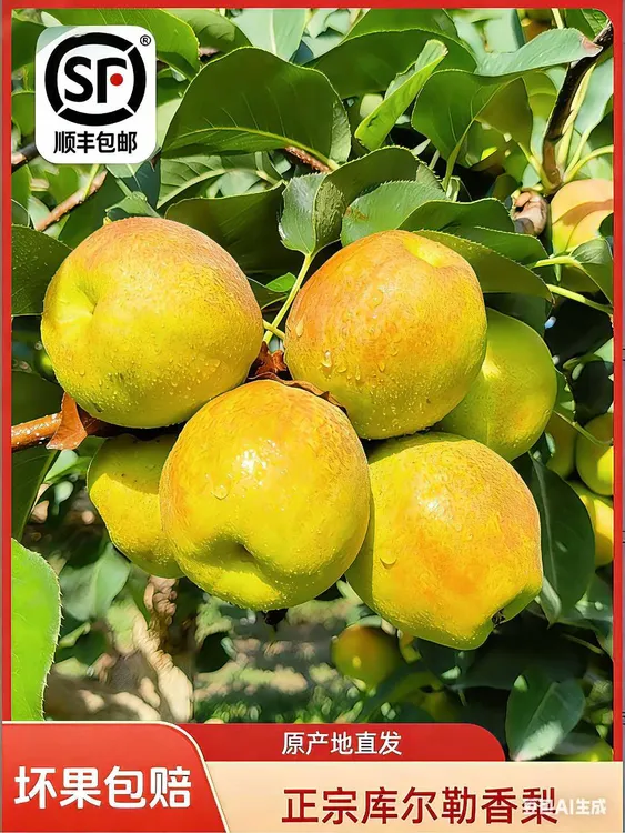 {顺丰包邮}新疆库尔勒香梨10斤2025年脆甜多汁新鲜水果原产地发货