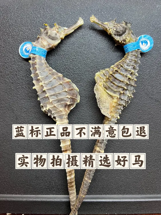【正品】规格0.5-1克 精选正宗海马 泡酒煲汤 蓝标正品 公母配对
