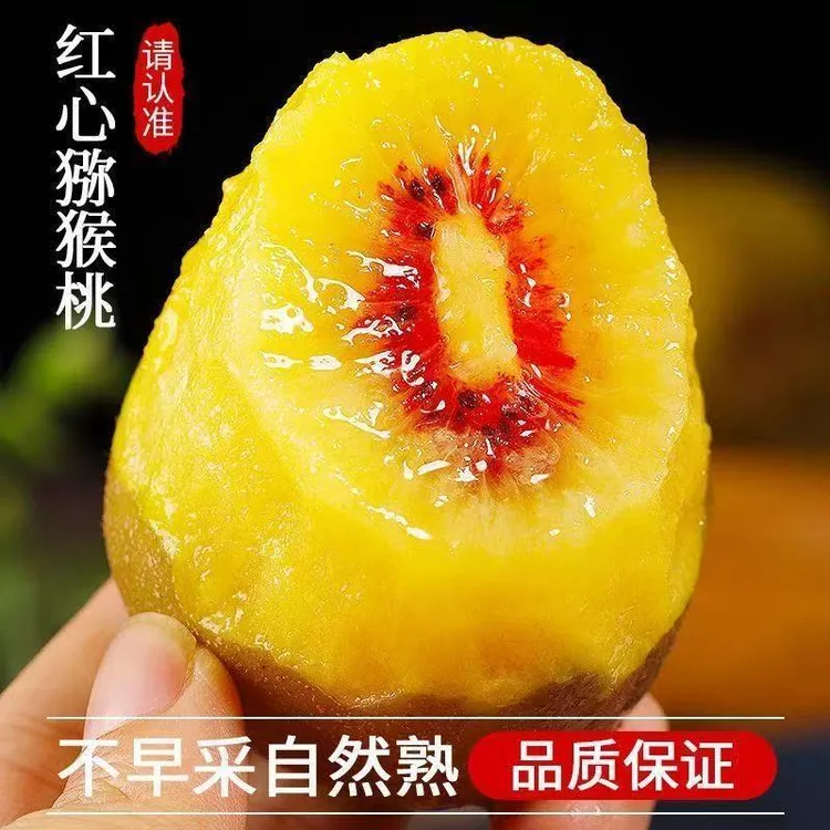 【顺丰包邮】四川蒲江红心猕猴桃新鲜大果奇异果树上熟当季水果整箱