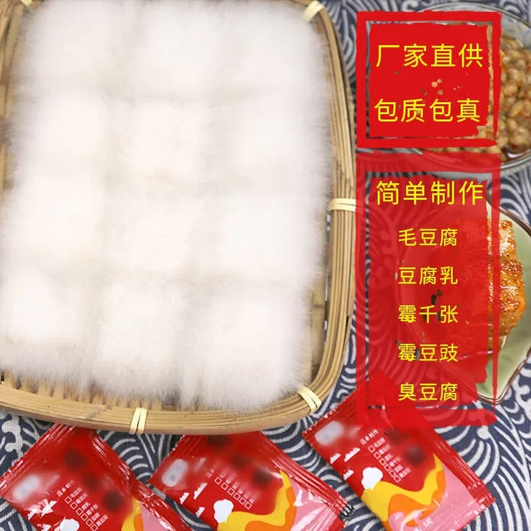 曲子新鲜曲粉自制长白毛臭豆腐霉豆腐毛霉菌粉传统简单家用发酵
