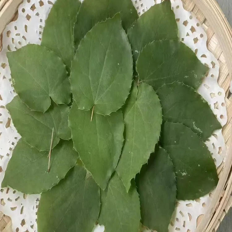 甘肃野生锯齿小圆叶《淫羊藿》新鲜阴干干货