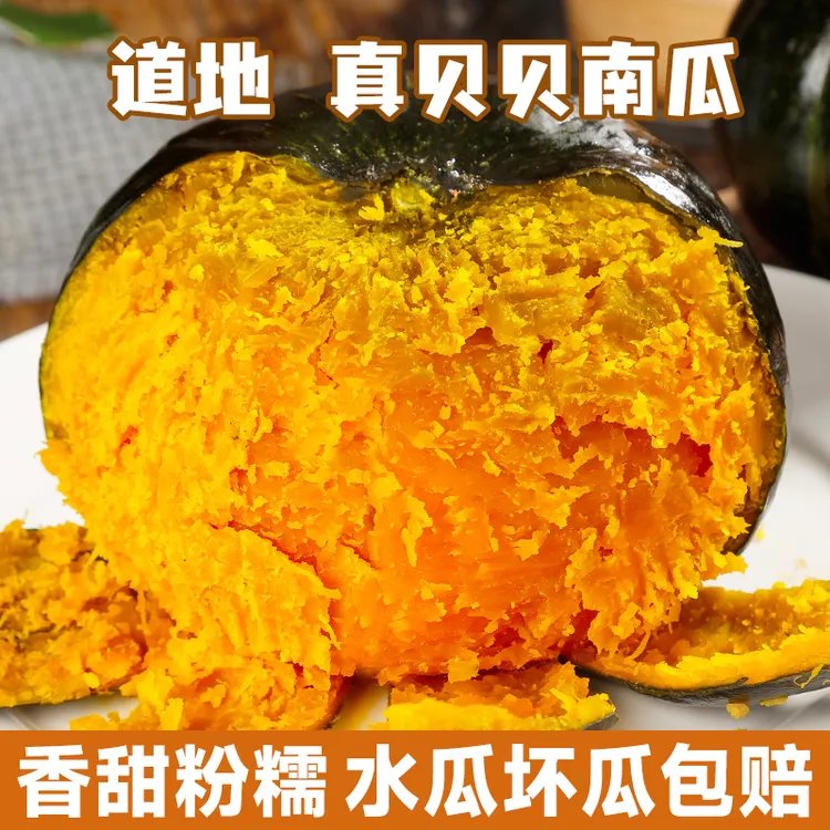 正宗沙漠小南瓜贝贝南瓜粉糯香甜板栗味适合老人宝宝辅食